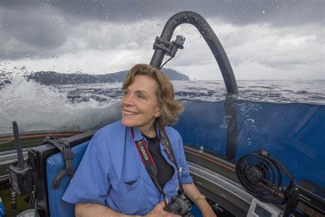 sylvia earle foundation.